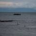 Migrant Boat Sinks Off Türkiye, Children Among 22 Dead