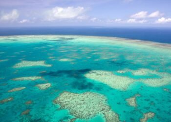 Great Barrier Reef Kept Off UNESCO ‘Danger’ List