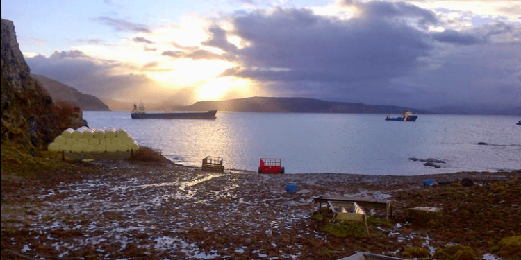 lysblink seaways