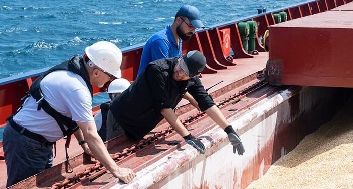 Black Sea Grain initiative cargp inspection