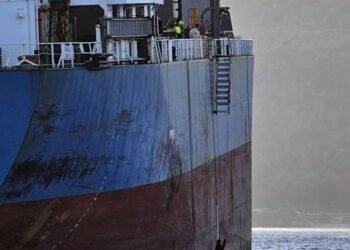 Master and Shipping Company Prosecuted For Pilot Ladder Failure