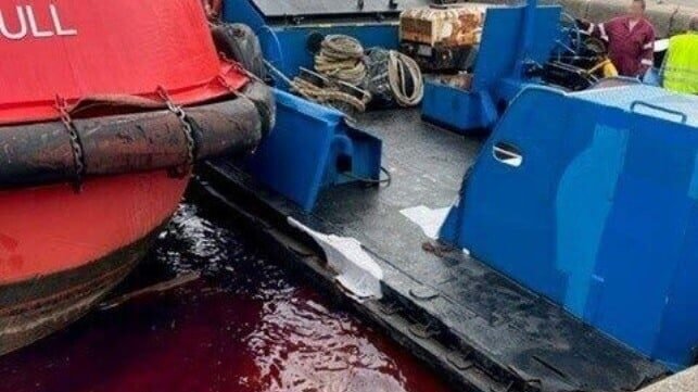 Report: Control Transfer Error Sent a Trawler Into the Side of a Tug